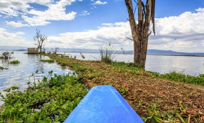 Naivasha Travel Guide: The Complete, Honest Guide to a Great Trip (2026)